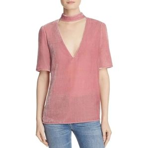 Paige Vintage Rose Velvet Cateline Top.